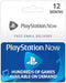 12 month PS now subscription